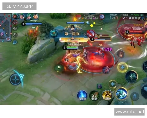 聚焦王者荣耀战术解析：FPX如何运用策略制胜对局