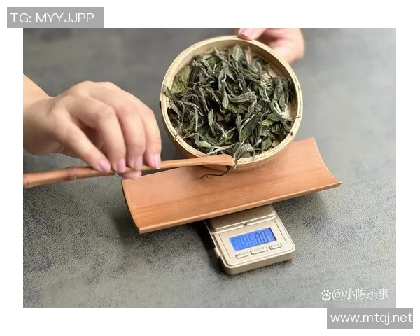 茶叶文化的传承与创新探析：从古至今的茶道演变与现代茶叶产业发展